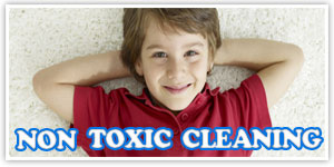 carpet-cleaners